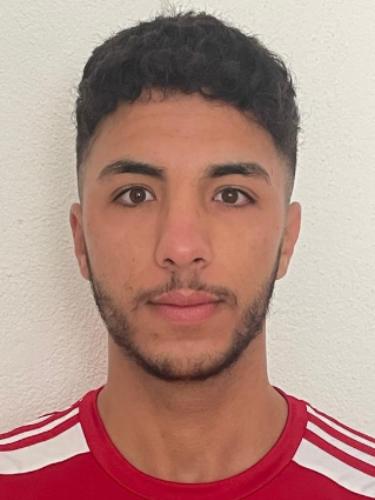 Ali Chahrour