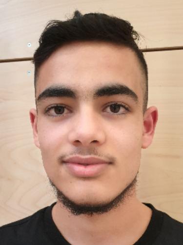 Mohamed Alalwan