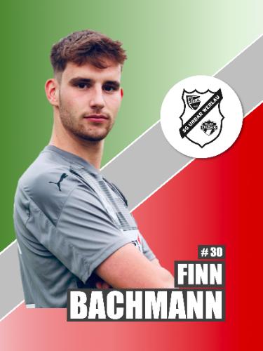 Fin Bachmann