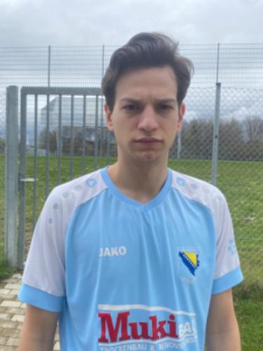 Arnes Alisic