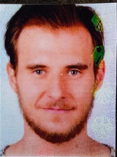 Daniel Seven
