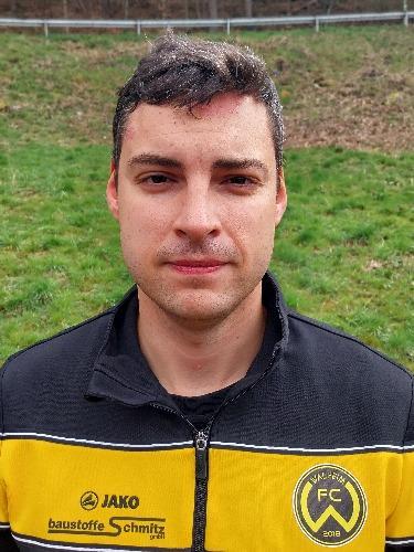 Vladimir Krasin