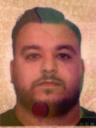 Tolgay Demir