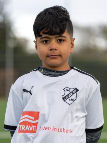 Amir Sajad Baratzadah