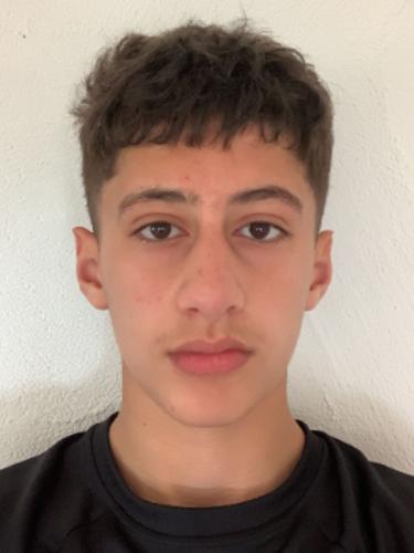 Ali Chehade