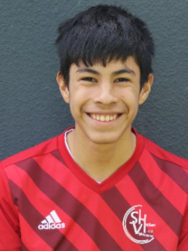 Leandro Jose Liendo Grau