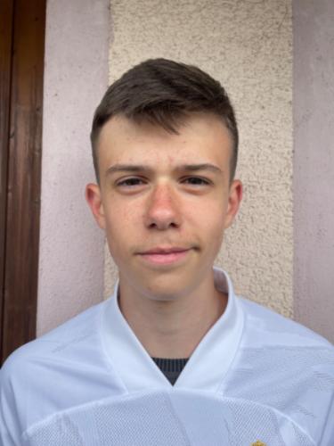 Teo Babic`