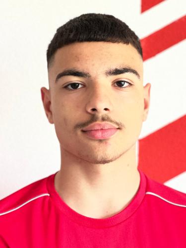Niko Nikola Vasilj