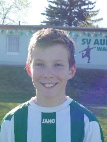 Emil Eckehart Schirmer