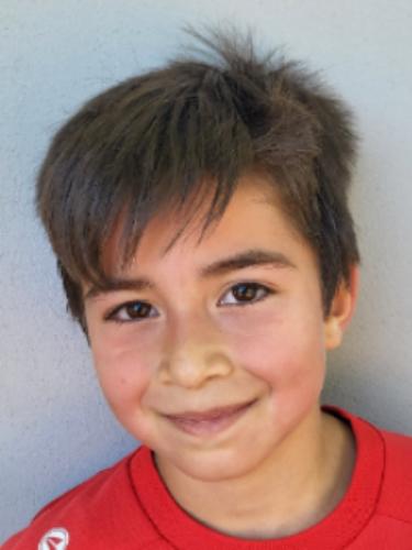 Yasin Sarikaya
