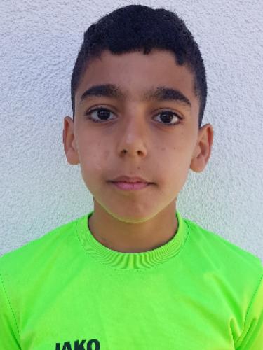Hamed Hamoudipourarabi