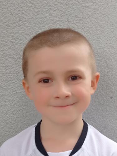 Milan Mehl