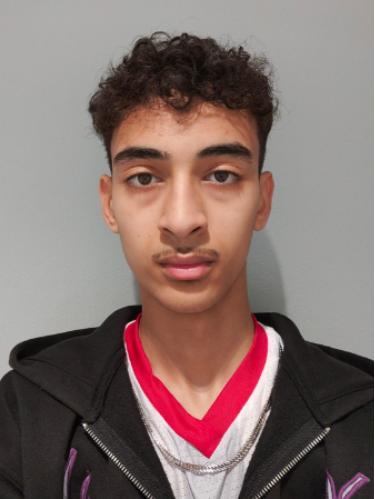 Ayman Ayoub
