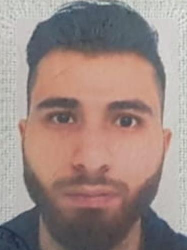 Morteza Manafi