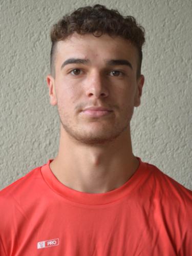 Mirsad Farizi