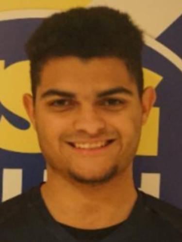 Luiz Alves Tiburcio