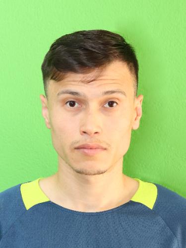 Ramin Heidari