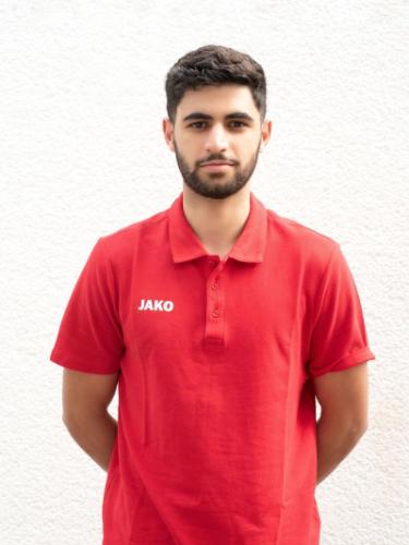 Deniz Goek