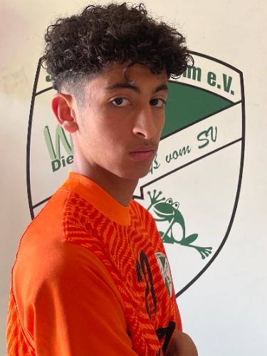 Mohamed Amin El Guemri