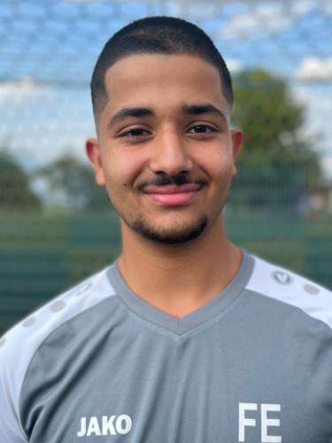 Mohammed Fares Elghool