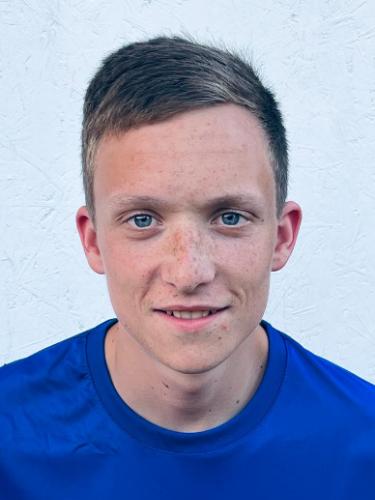 Henner Mattausch