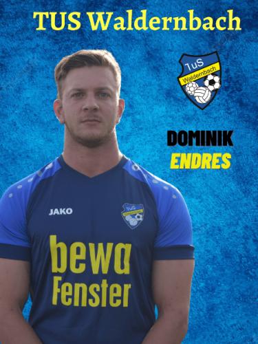 Dominik Endres