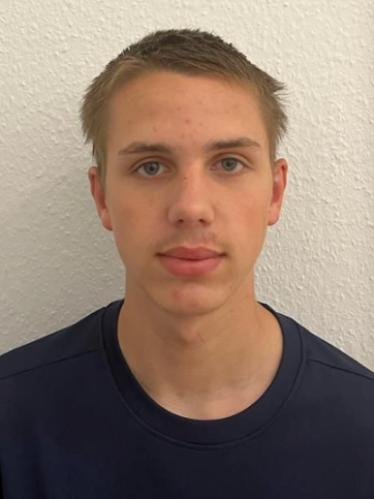 Lion Wirkotsch