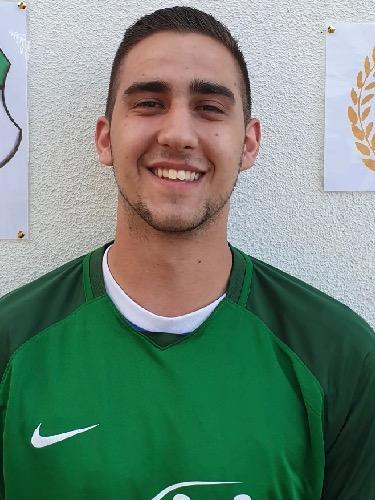 Damir Saric