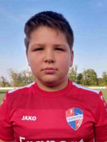 David Laub