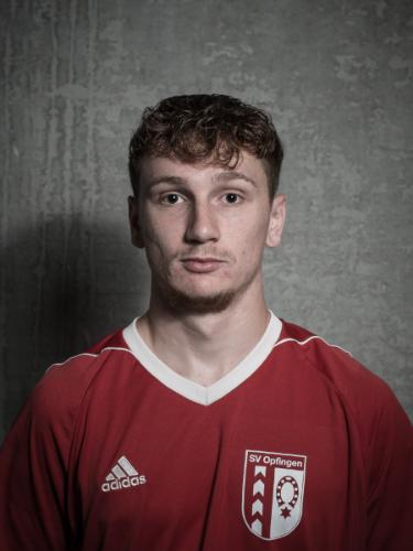 Fabian Schmidt