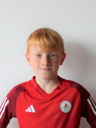 Mika Wolfgang Gustav Dannies