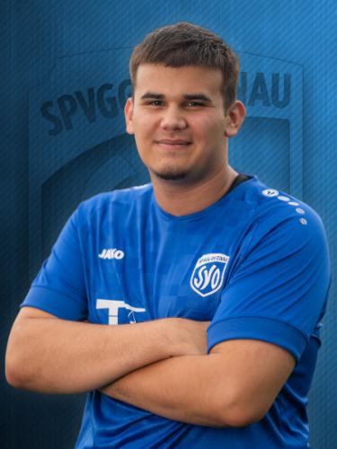 Niko Orlovic