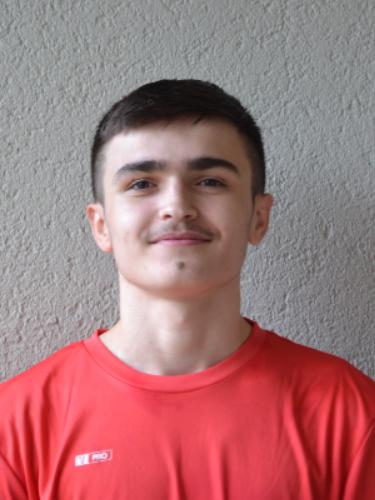 Albin Bedrolli