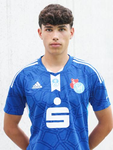 Sandro Laudo