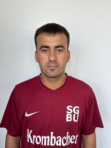 Mohammad Ramin Hamidi