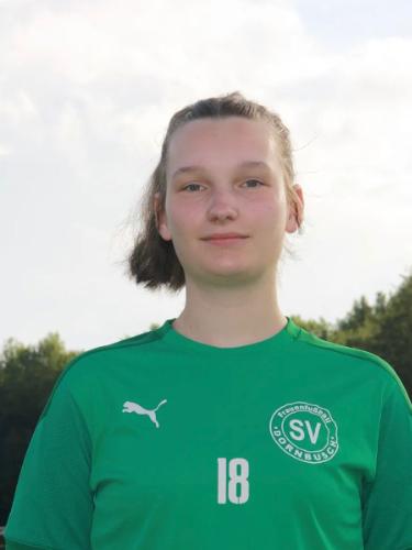 Tine Stein