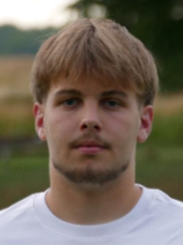 Aaron Schweins