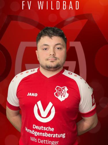 Almin Bogilovic