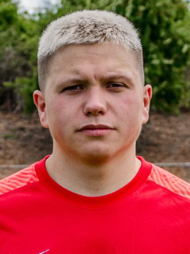 Domenik Herrmann