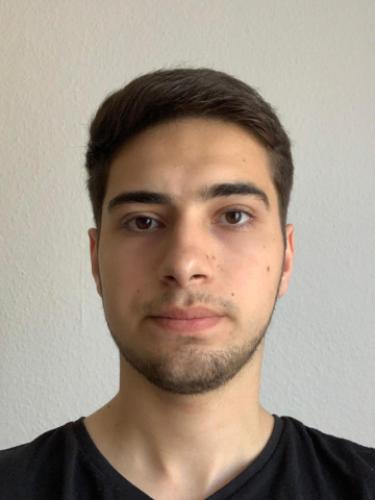 Davit Medoyan