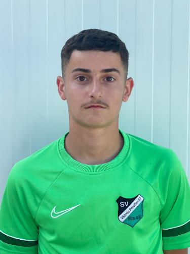 Gabrijel Polenik