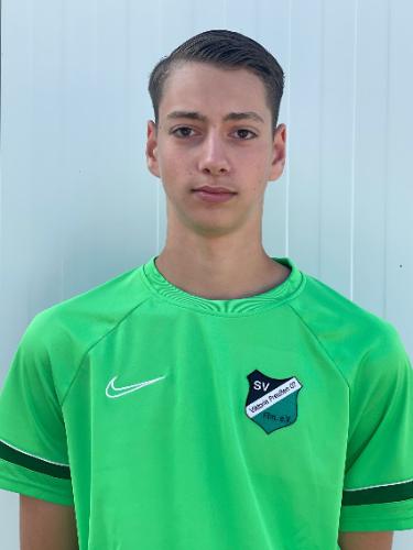 Luka Polenik