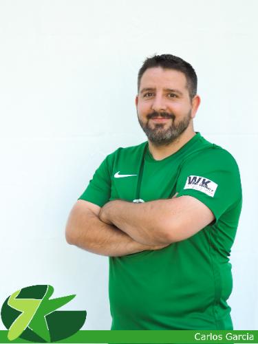 Carlos Cordon Garcia