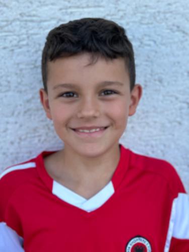 Ledion Arifi