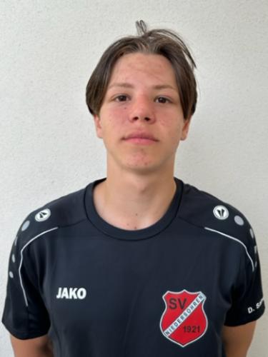 Daniel Sanegin