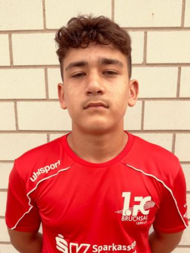 Leonidas Arda Arslan