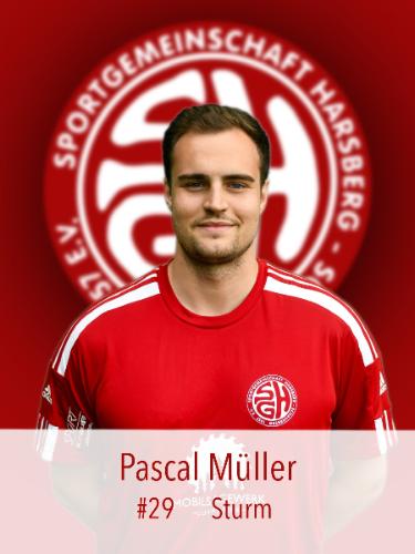 Pascal Dominik Müller