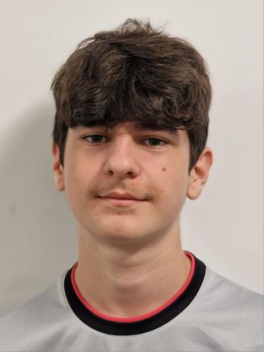 Jerome Ingolf Hiekel