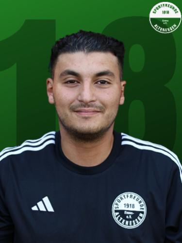 Ali Koaik