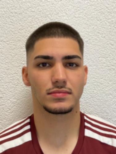 Alexandru-Vicentiu Stoican